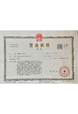 Honors and Qualifications